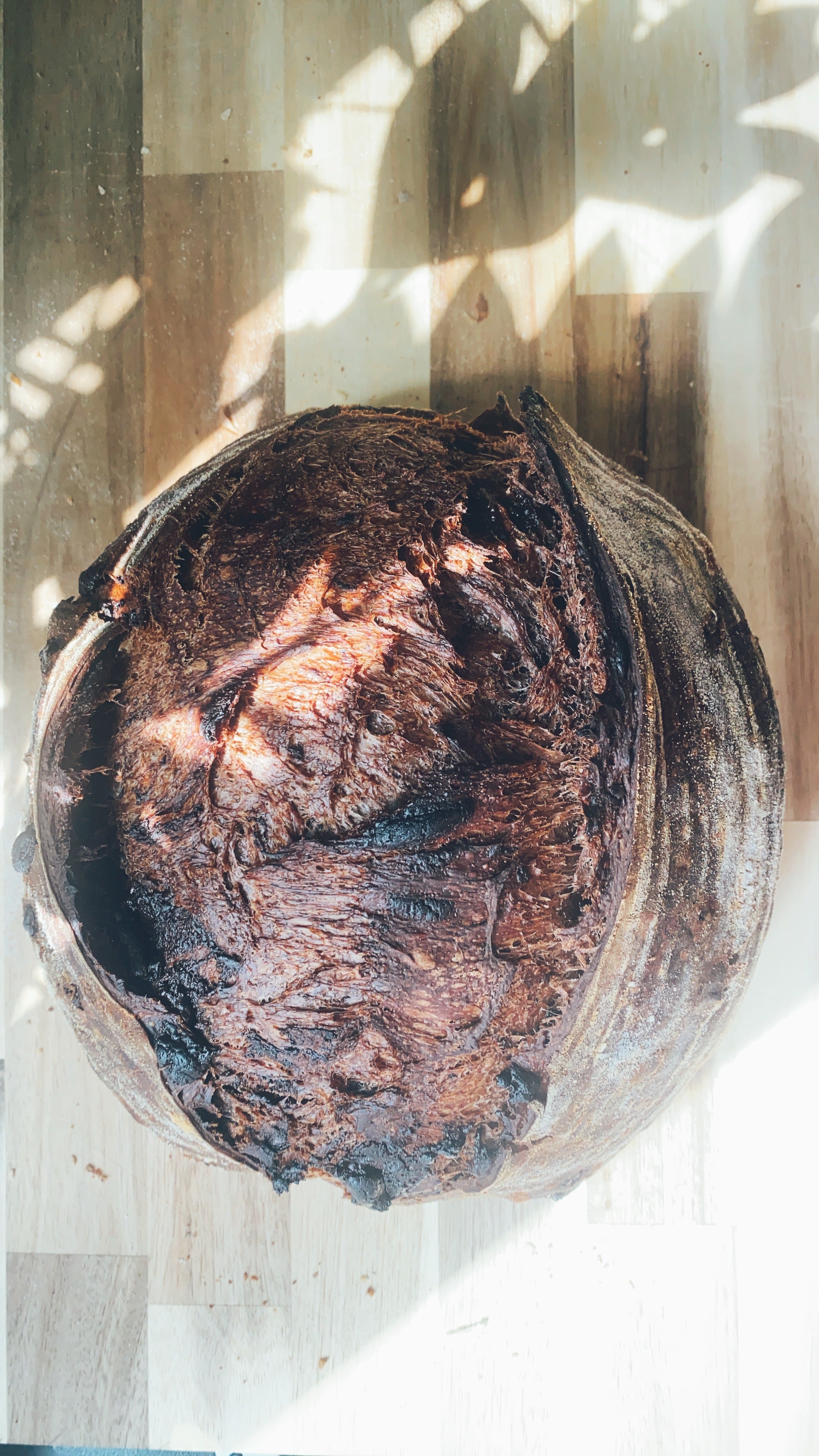 Chocolate Sourdough