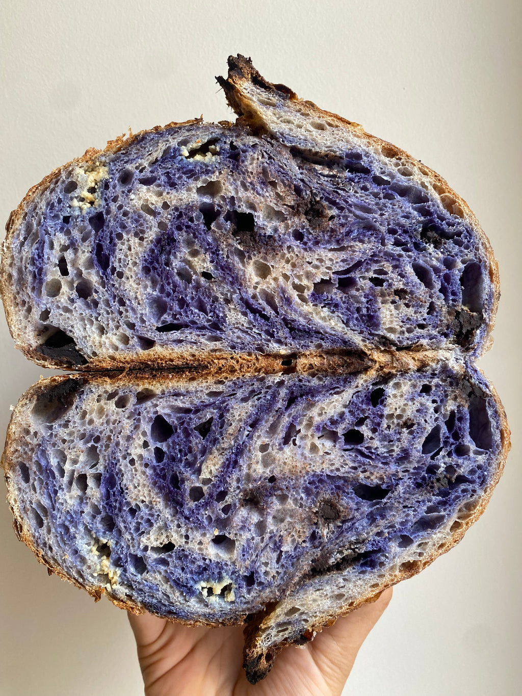 Blue Sourdough