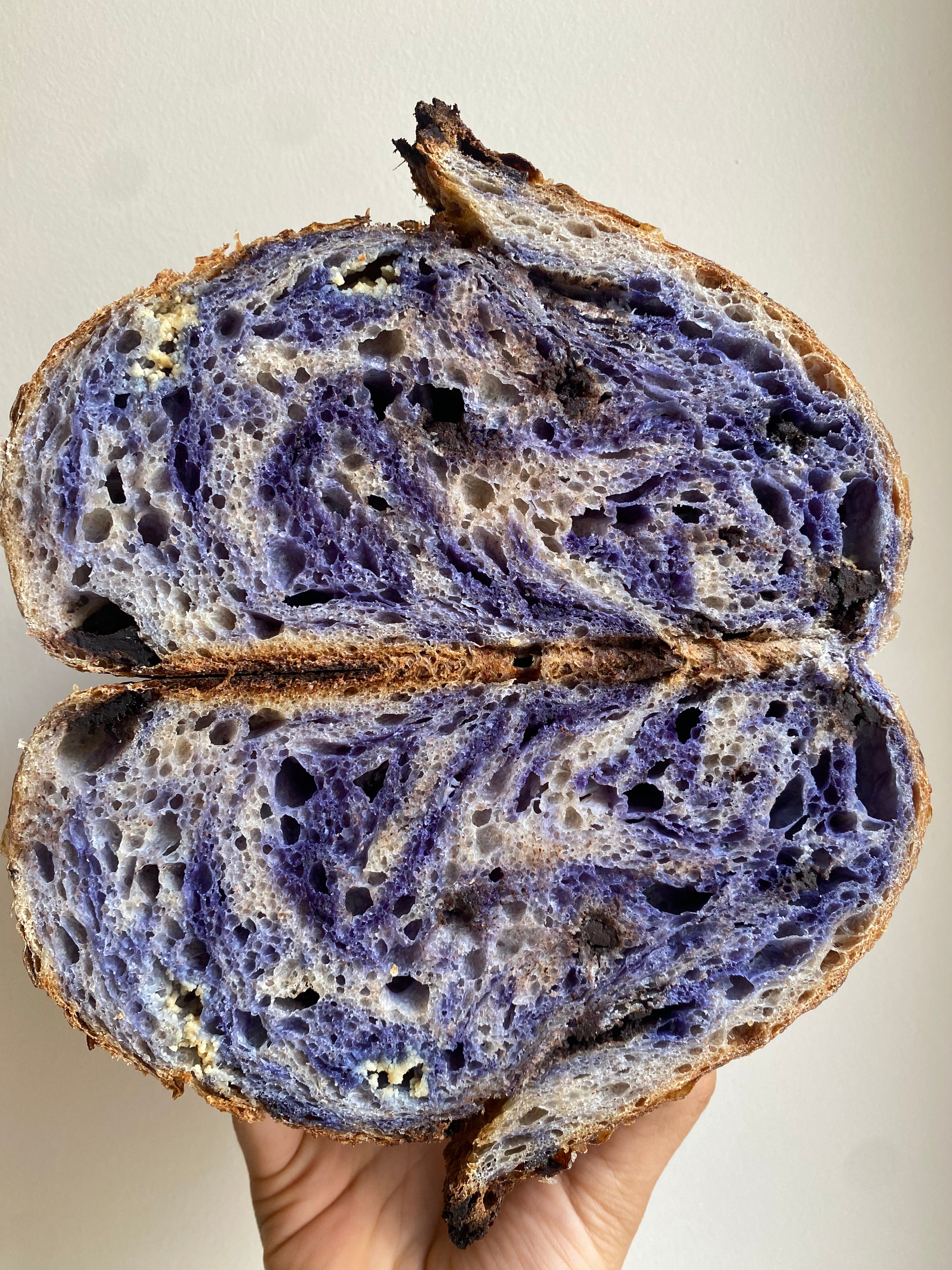 Blue Sourdough