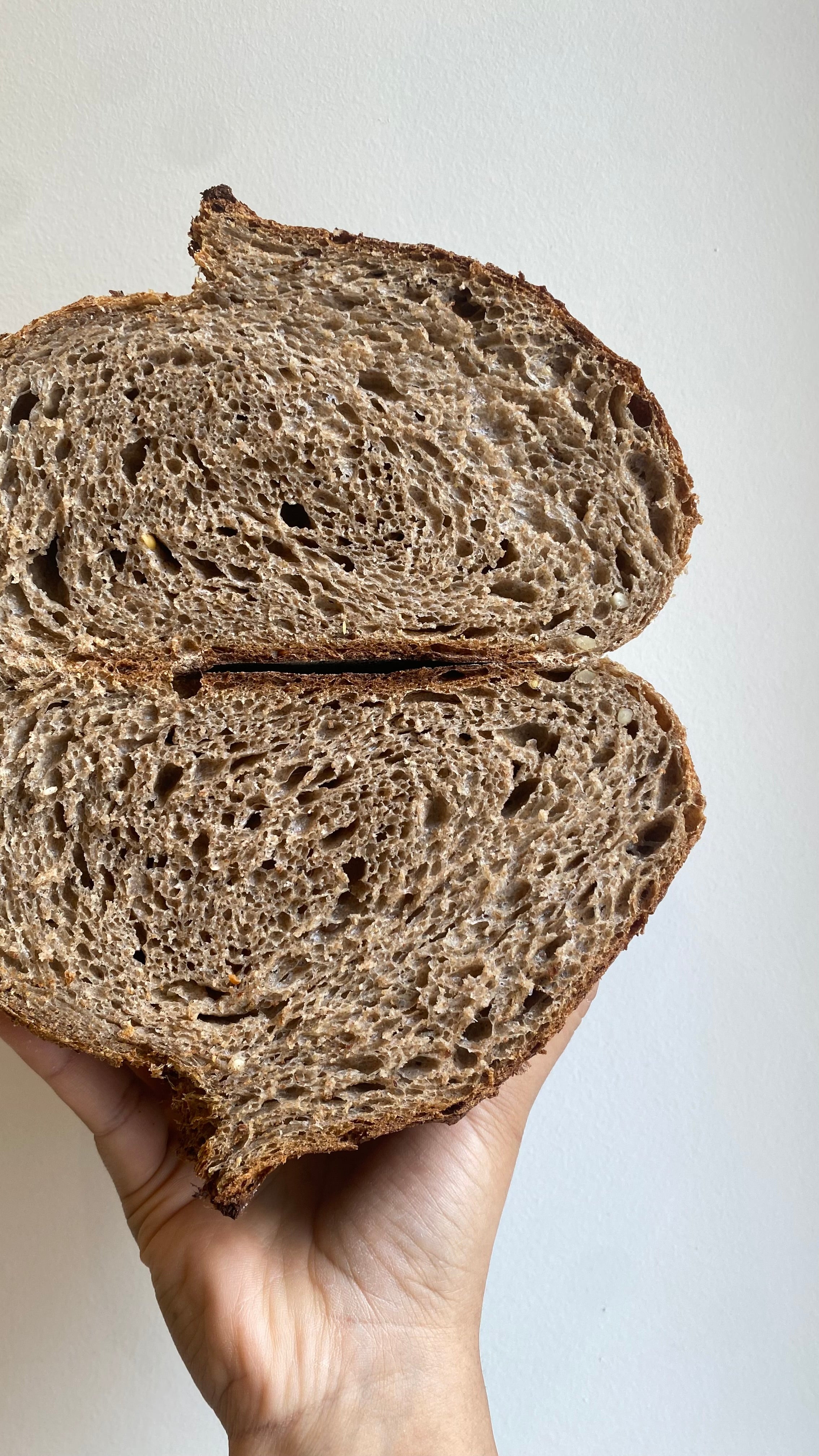 Brown Sourdough