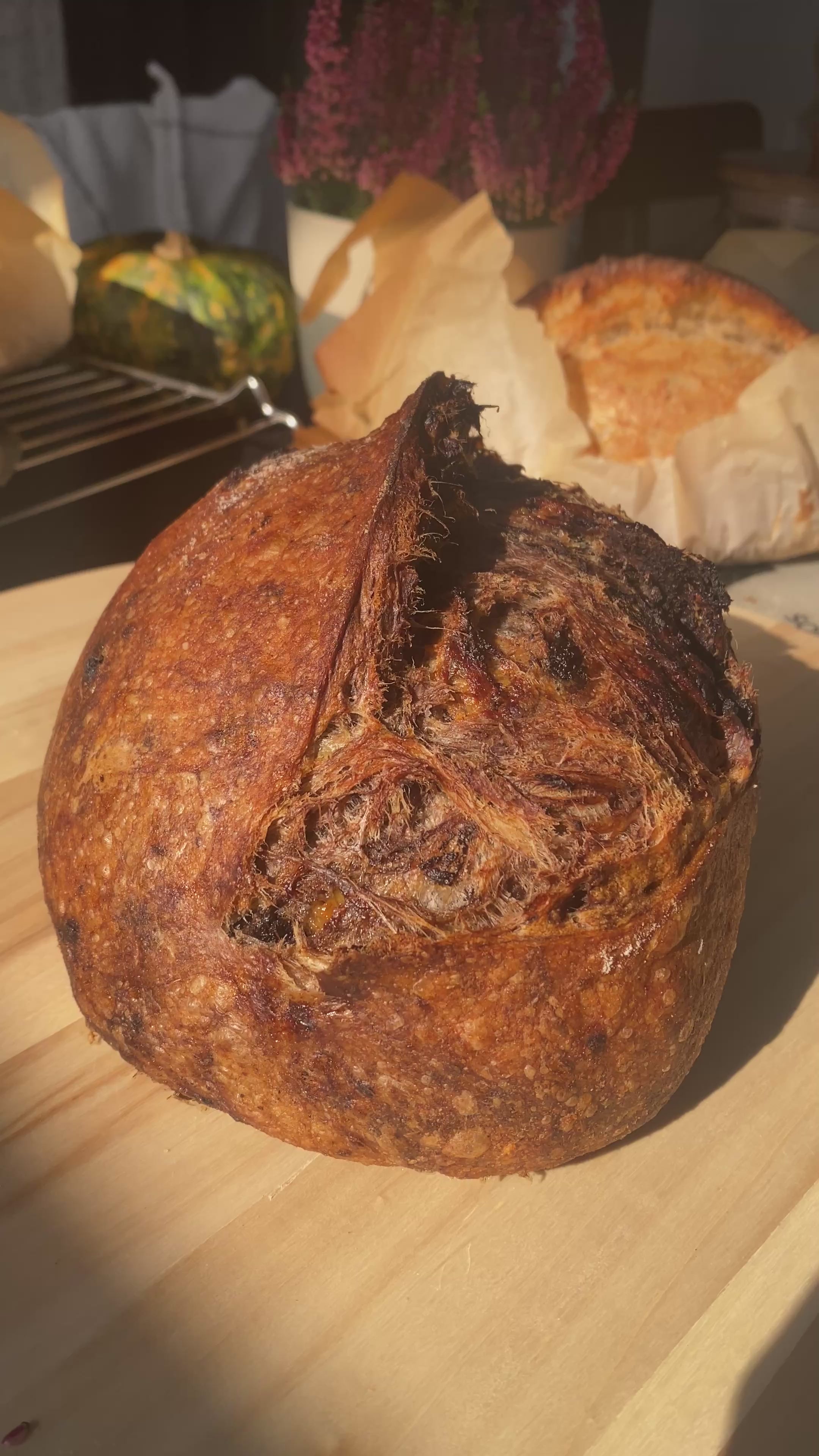 Cinnamon Swirl Sourdough Bread
